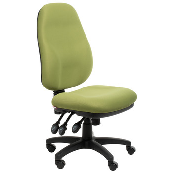 Sydney Green Ergonomic Office Chair