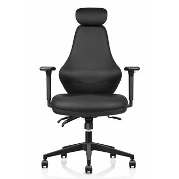 Ergora High Back Ergonomic Posture Chair with Headrest