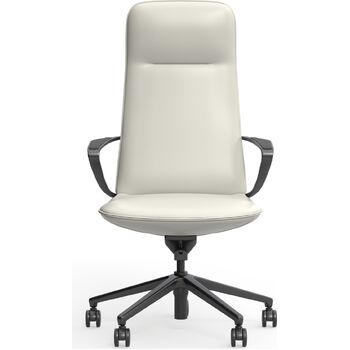 Nico High Back Executive Leather Office Chair – Ergonomic & Award-Winning Design - Leather Grey