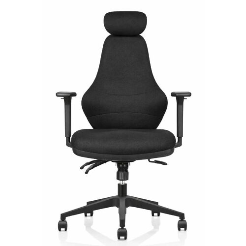Ergora High Back Ergonomic Posture Chair with Headrest [Upholstery: Black Fabric]