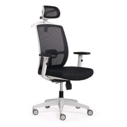 Luminous Executive Mesh Back Office Chair with Headrest