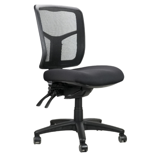 Mirae Ergonomic Medium Back Mesh Office Chair
